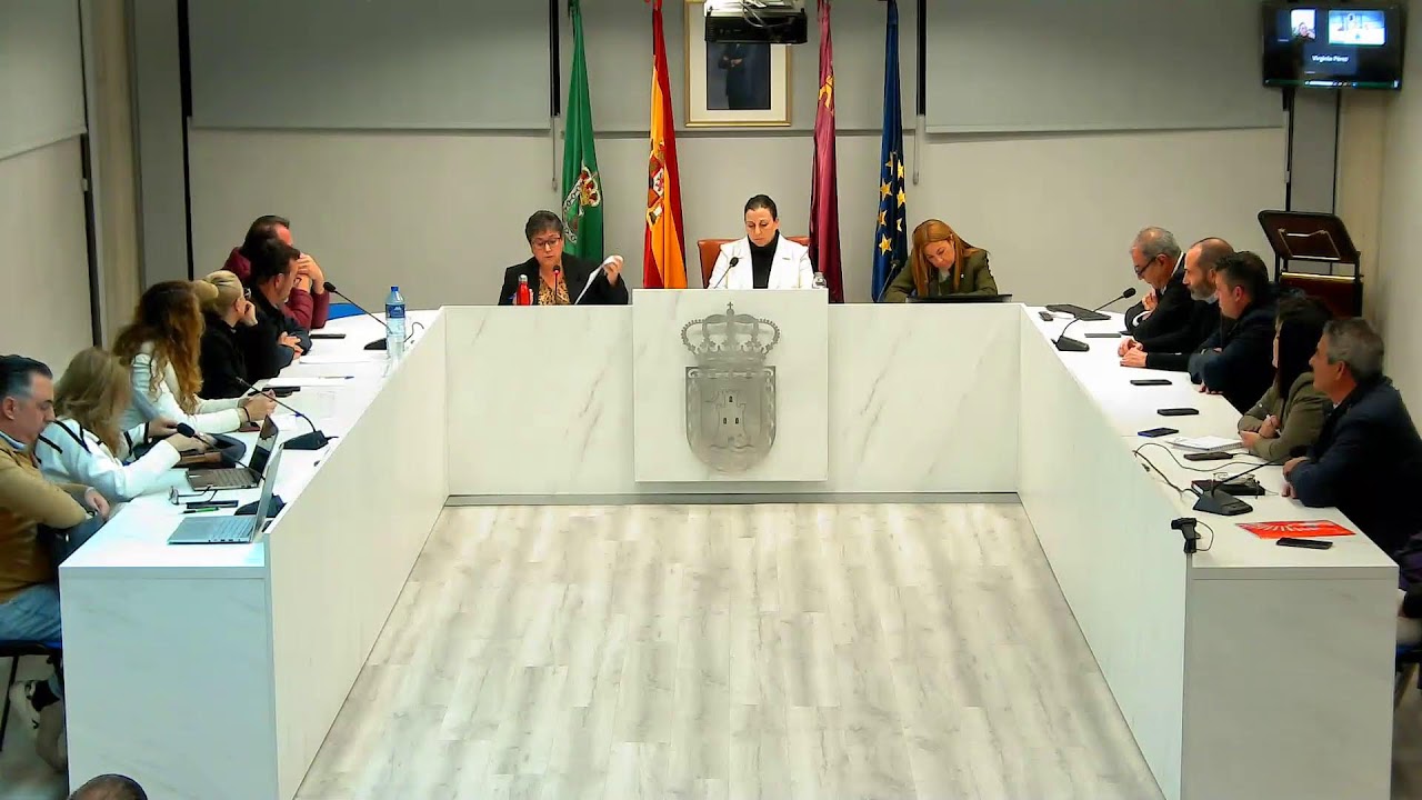Pleno Ordinario 19/12/2024