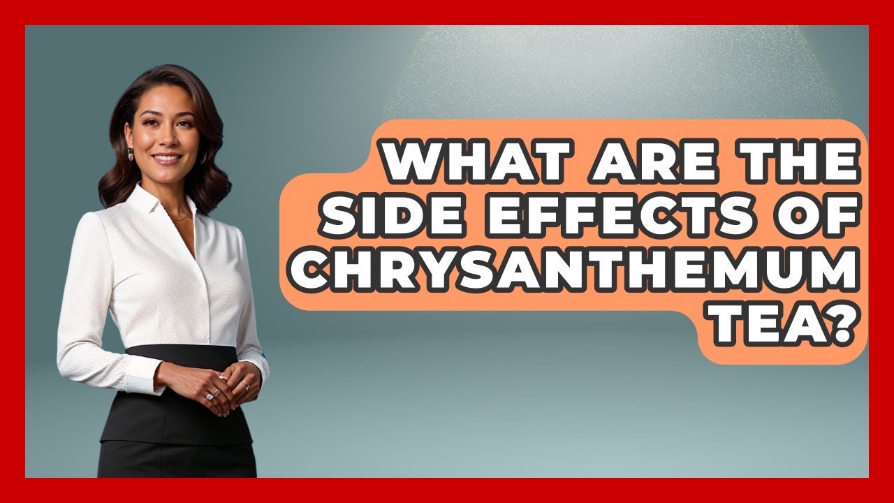 What Are The Side Effects Of Chrysanthemum Tea? - China Cultural Expedition