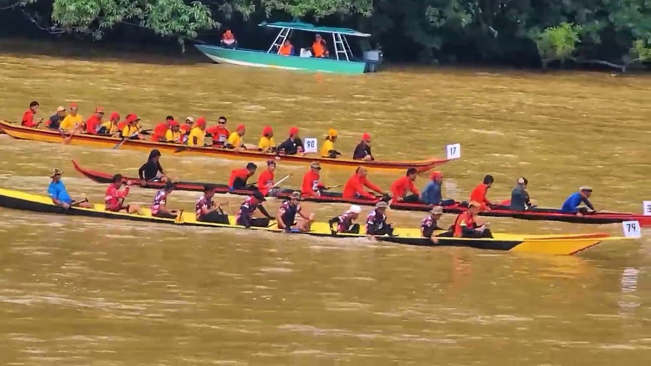 BELAGA REGATTA 2025 | KOMPILASI VIDEO ACARA BIDAR SEPANJANG REGATTA BELAGA BERLANGSUNG