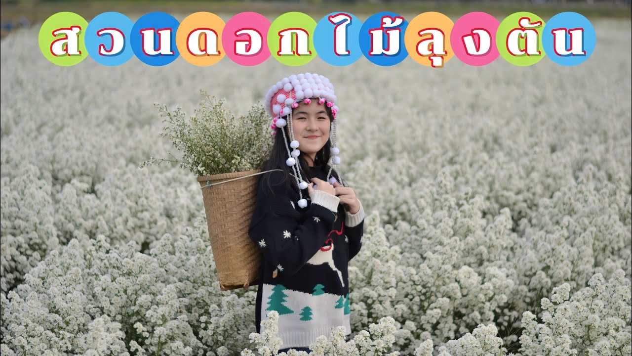 สวนดอกไม้ | สวนลุงตัน | แม่ริม | เที่ยวเชียงใหม่ | ใบตองพาทัวร์