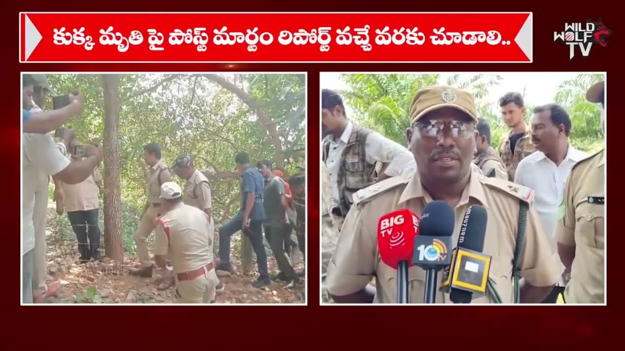 🔴LIVE : కొండ చిలువ లాక్కొని SP సంచలనం | Tuni Missing Girl Jahnavi Case Big turning Point | Breaking