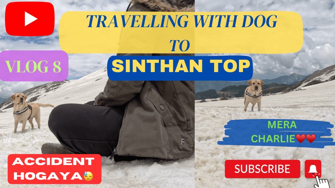 VLOG -8| TYSON IN SNOW❤️ SINTHAN TOP jana DANGEROUS hai| A MAN DIED⛔️ #jammukashmir #camping