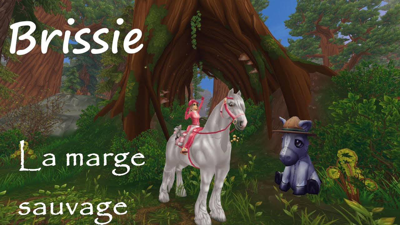 🧸 Tous les emplacements de Brissie dans l'ordre [2020]