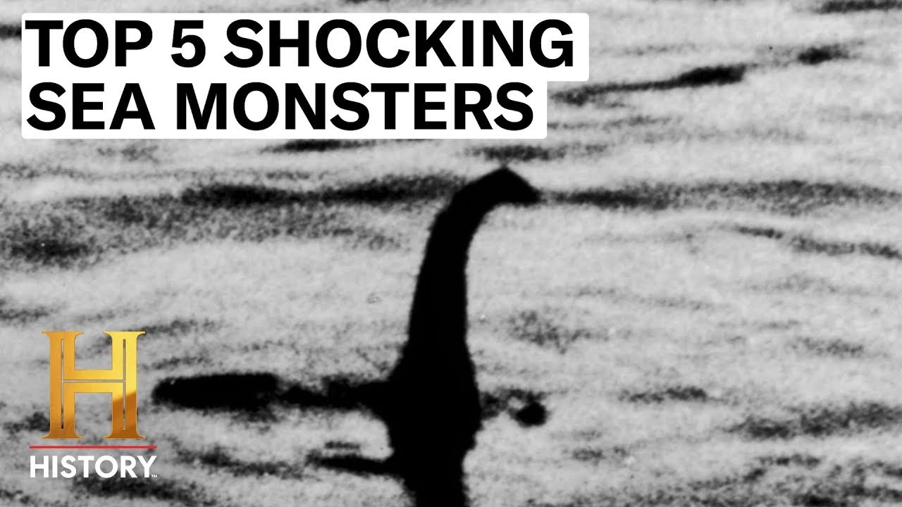 5 MYSTERIOUS SEA MONSTERS UNCOVERED | The Proof is Out There | History