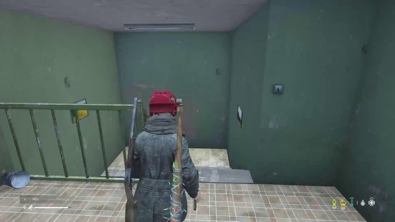 Dayz