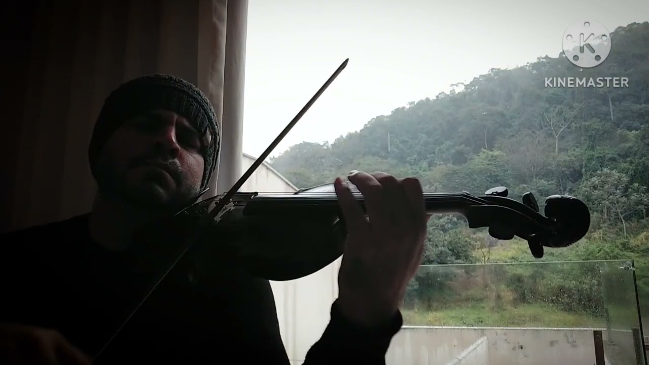 Carry You Home James Blunt - Ricardo Pardal Ribas violin 🎻