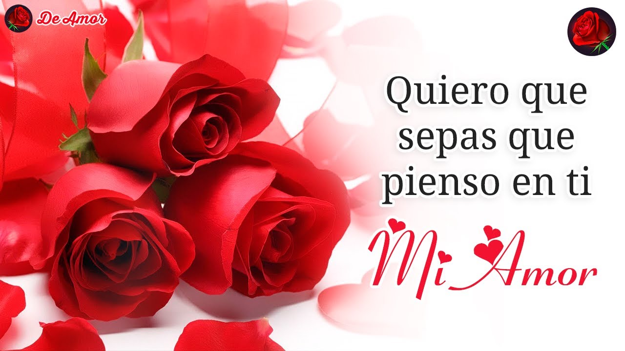 🌸 Pienso en Ti, Amor de Mi Vida 💌 Palabras que Nacen del Corazón – Mensajes Románticos para Dedicar