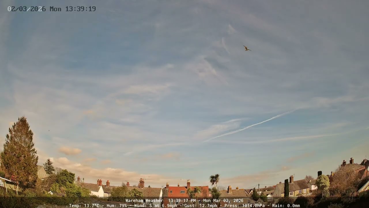 Wareham - Daily Time-lapse - 02/03/2026