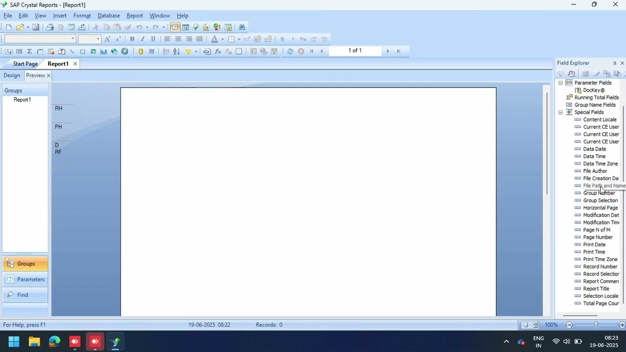 Layout Format - SAP Crystal Report