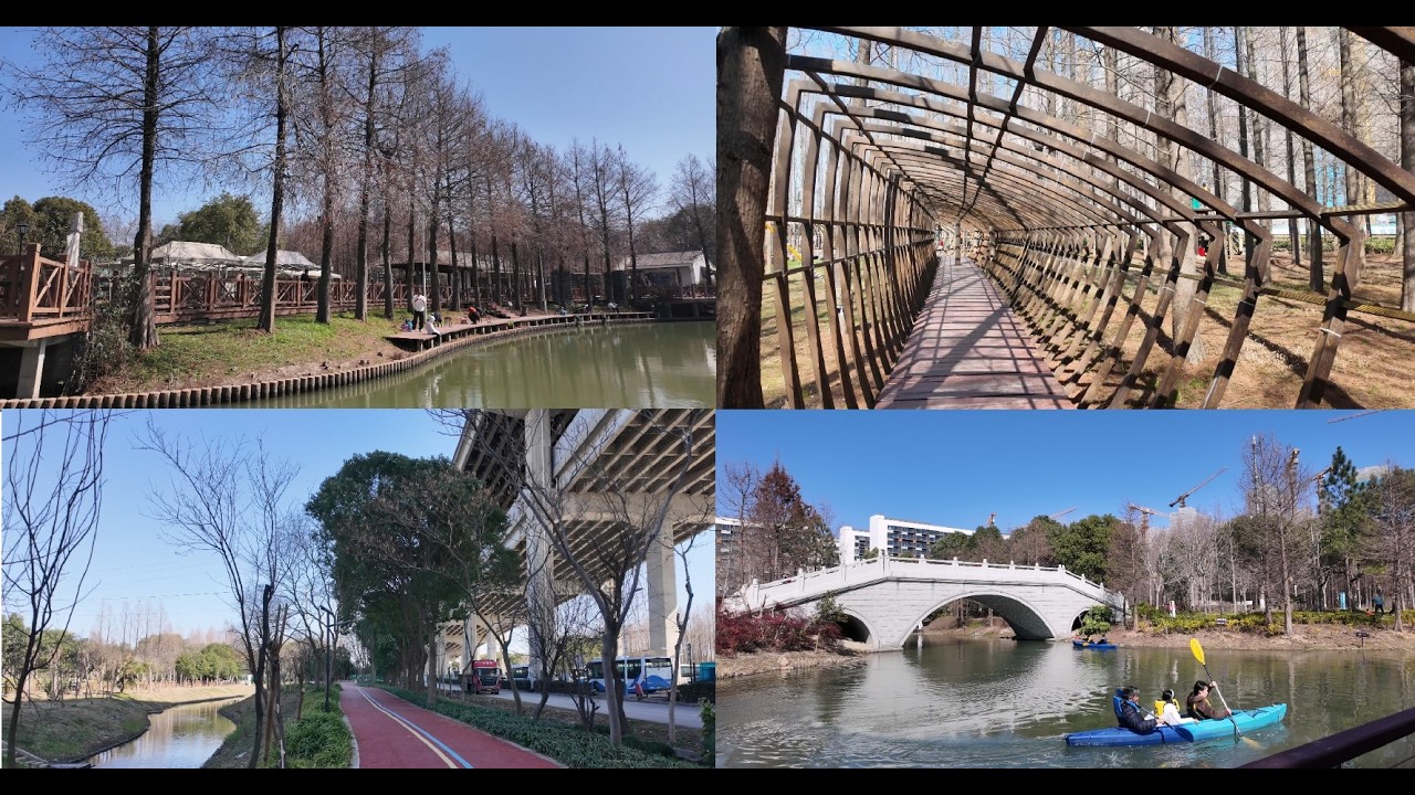 浦江郊野公园迎春跑 4K virtual run pujiang 跑步机风景vlog 新港河 浦放路鲁南路绿道 浦锦滨江 闵浦大桥 闵行浦江镇 杜行上海跑步路线 260221 citywalk 助眠