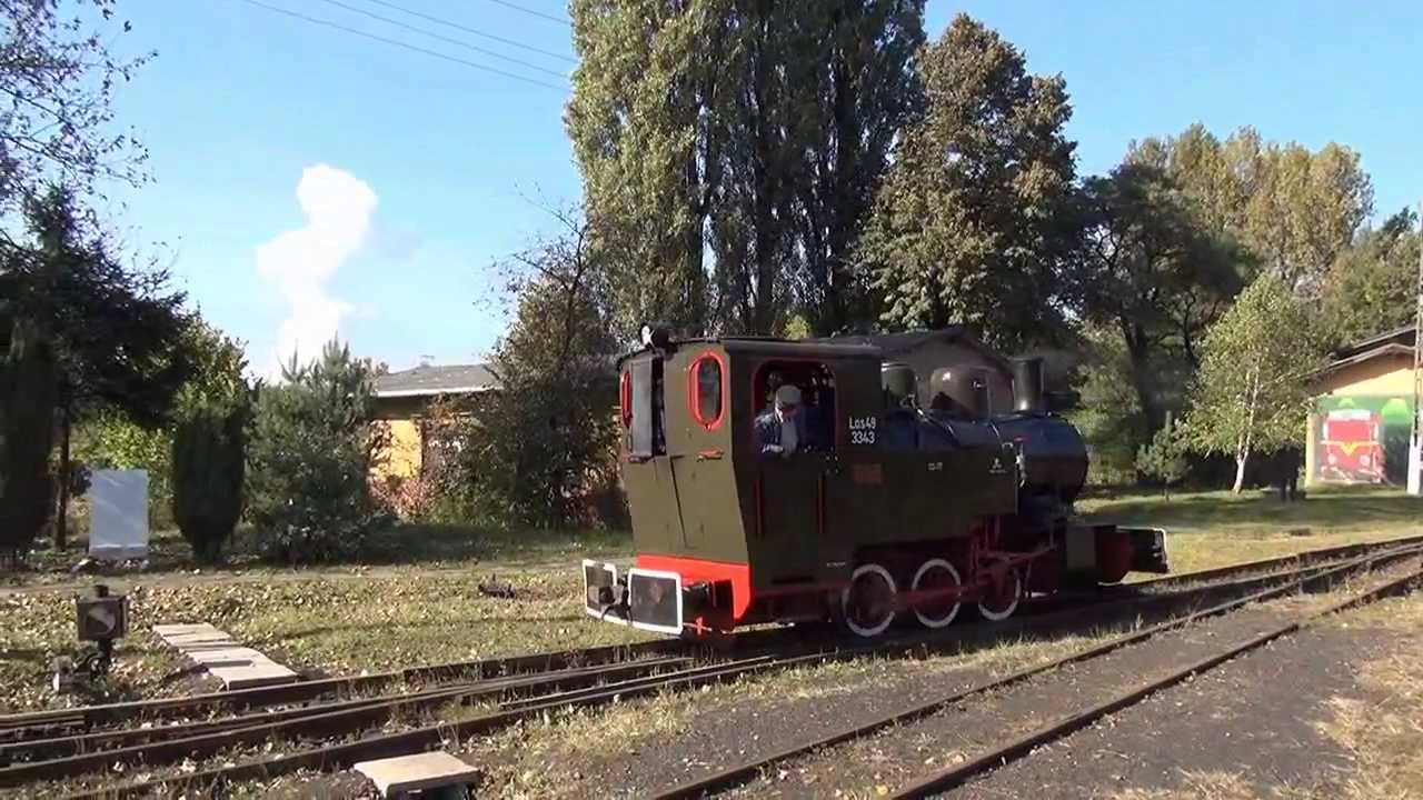 Parowóz Las49 3343 z pociagiem specjalnym z Bytomia Wąsk. do Miasteczka Śl.