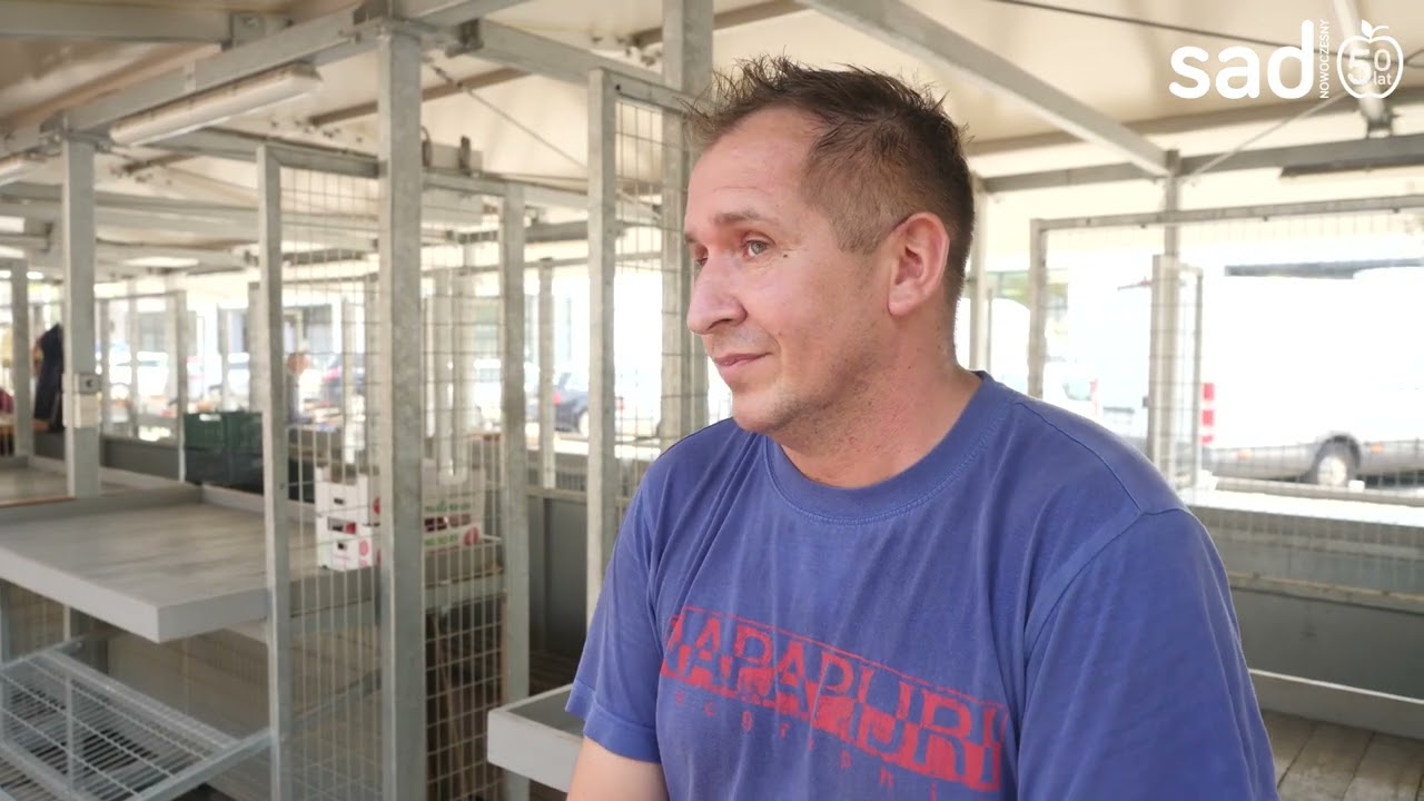 Puls Rynku: Jabłka z tegorocznych zbiorów utrzymują cenę, papierówki już nie ma.