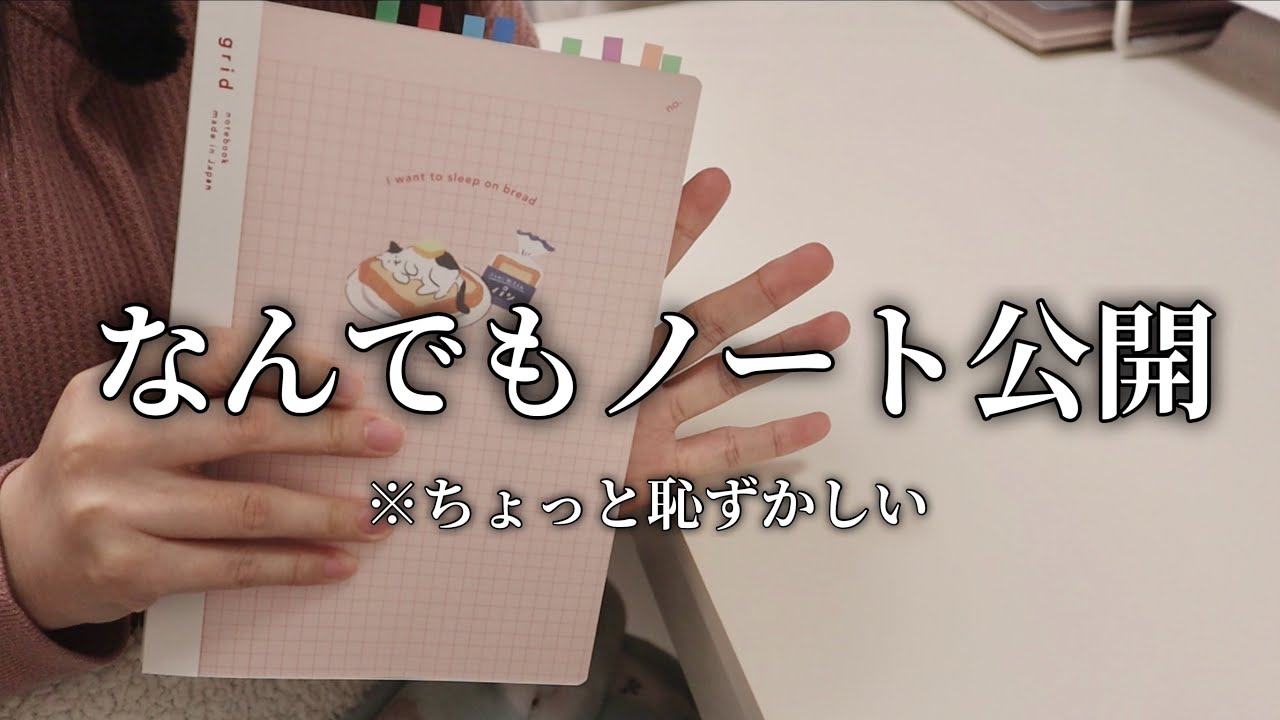【手帳術】ルール無用、私のなんでもノートの中身【HSP内向型】