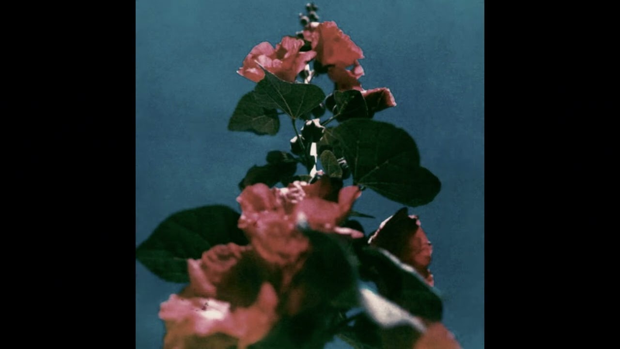 (FREE) Zamdane x TIF Type Beat - "Fleurs"