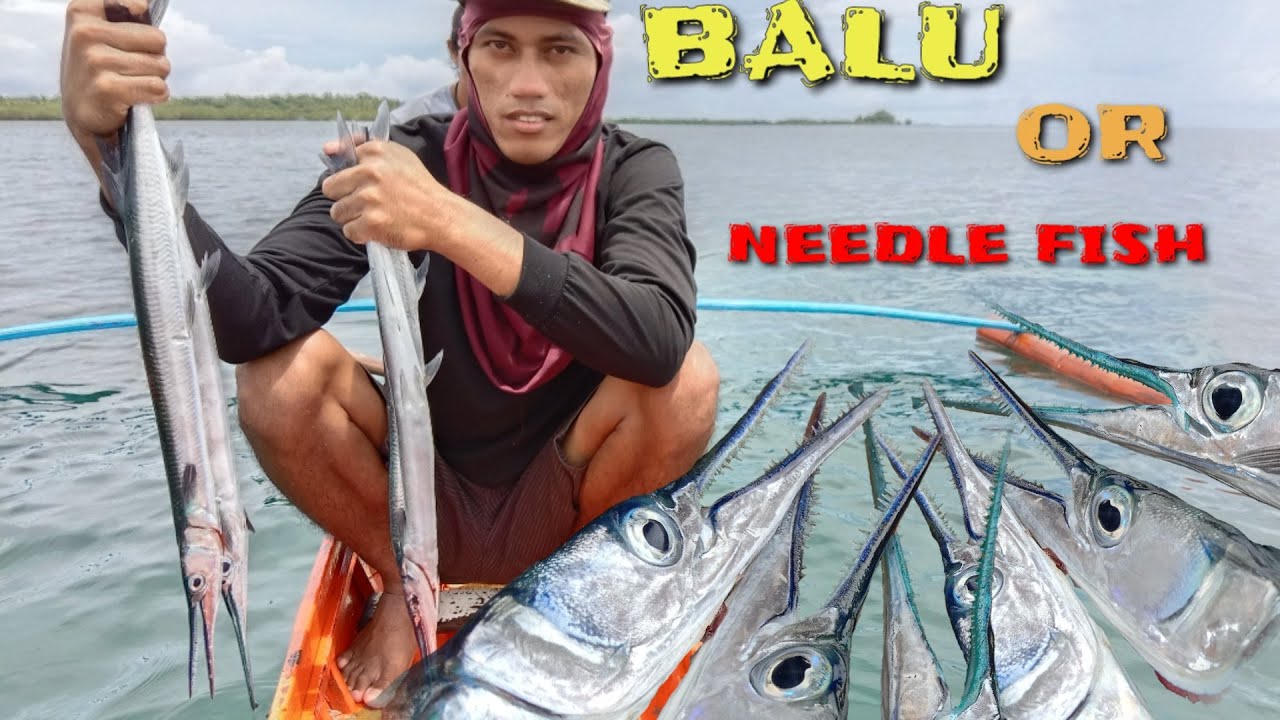 CATCHING NEEDLE FISH/ GAMIT ANG PATAW, BUHAY NA HIPON ANG PAIN