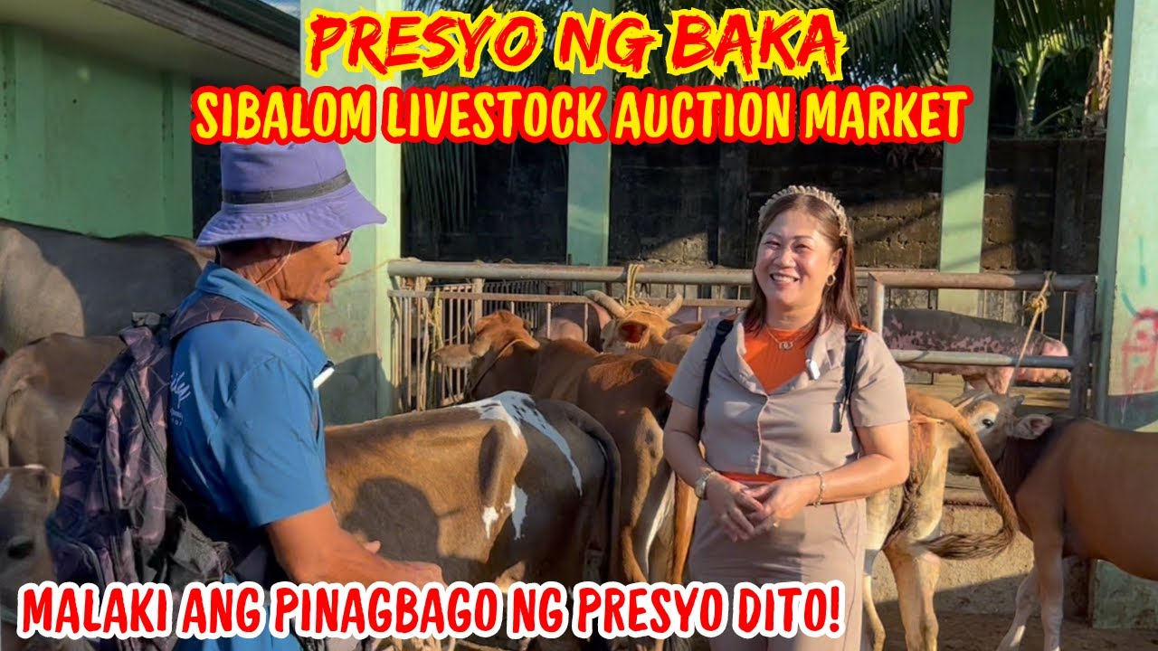 PRESYO NG BAKA SA SIBALOM LIVESTOCK AUCTION MARKET | MALAKI ANG PINAGBAGO | SOLLE'S GANDANG BUHAY