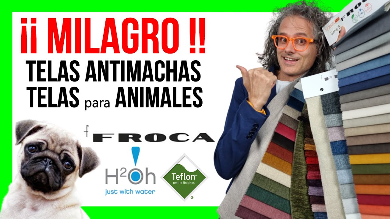 🤩 TELAS ANTIMANCHAS y ANTI ARAÑAZOS para MASCOTAS vs telas con TEFLÓN