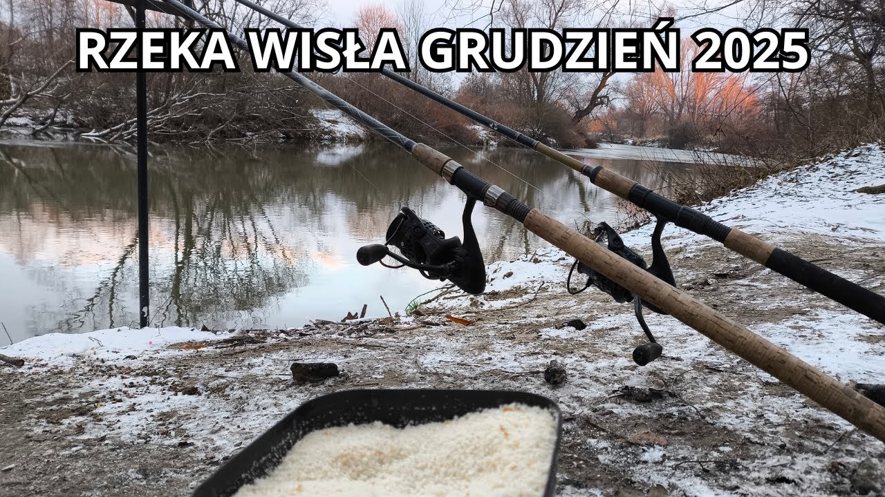Zamarznięta Wisła w Strumieniu, Zimowe Płocie i ZAKAZ wędkowania