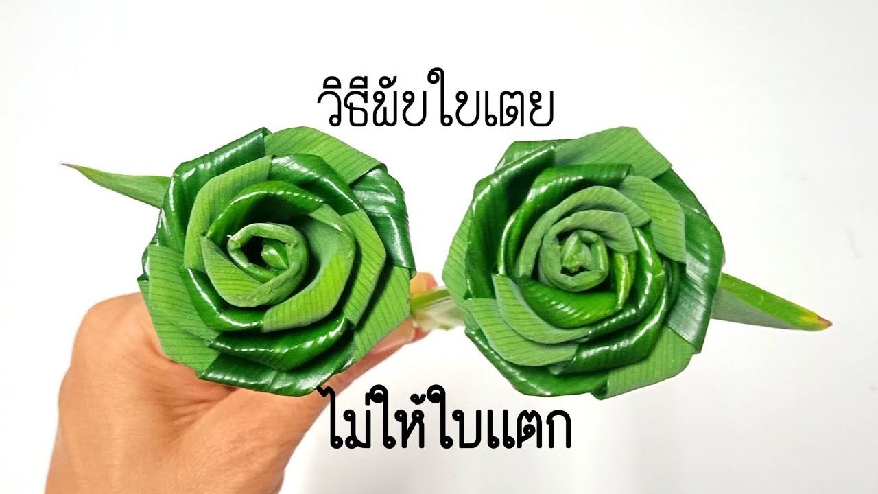 เทคนิคง่ายๆกับวิธีพับดอกกุหลาบใบเตยไม่ให้ใบเเตก #DIY flower from Panda 
BY PPP CHANNEL