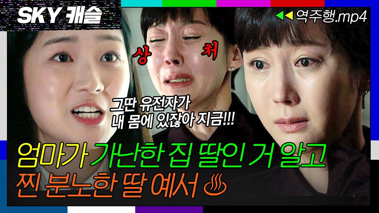 [SKY캐슬 EP.10-1] 엄마 염정아의 거짓 출신이 들통나자 분노 폭발한 딸 예서💥 | SKY 캐슬 | JTBC 181222 방송