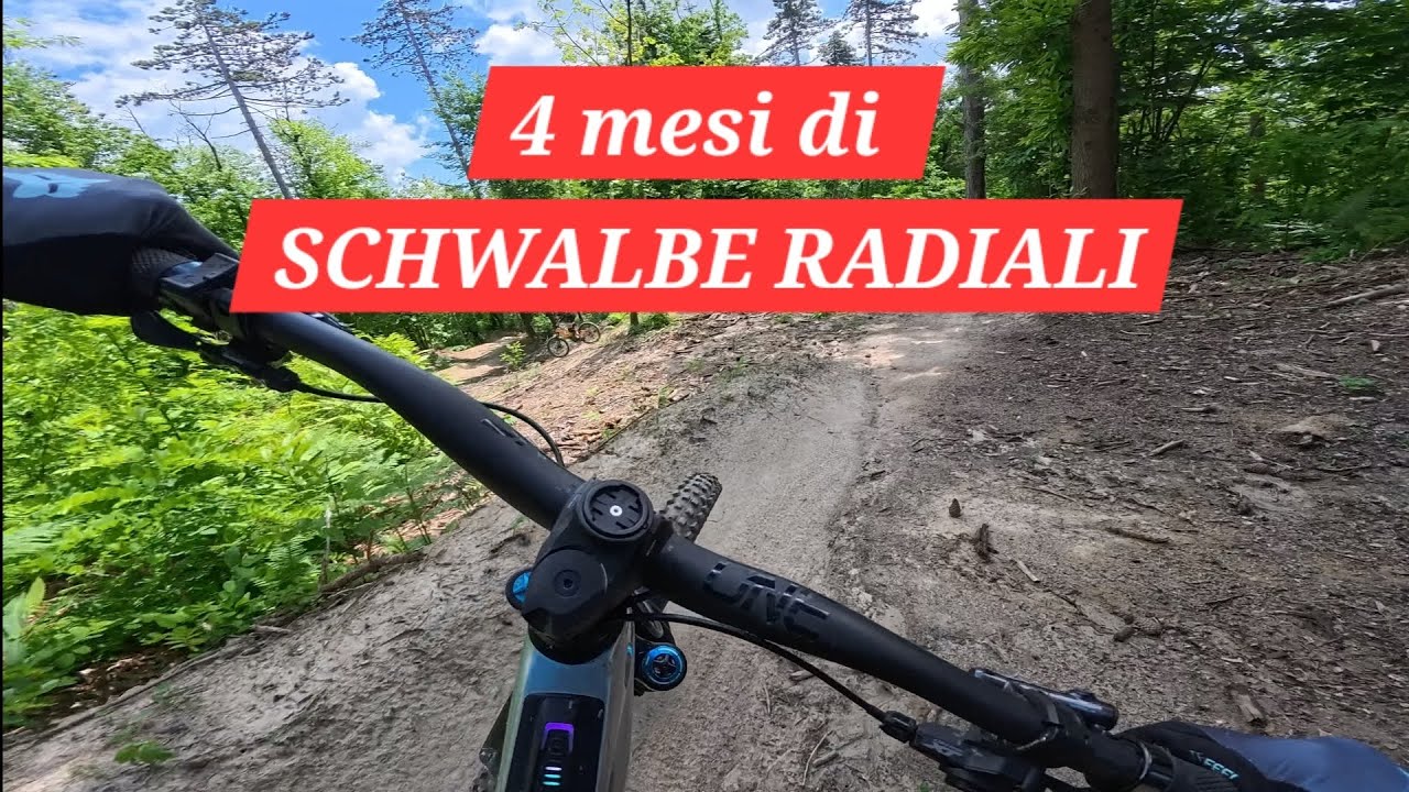 Ho provato le Schwalbe RADIALI Magic Mary e Albert per 4 mesi e....