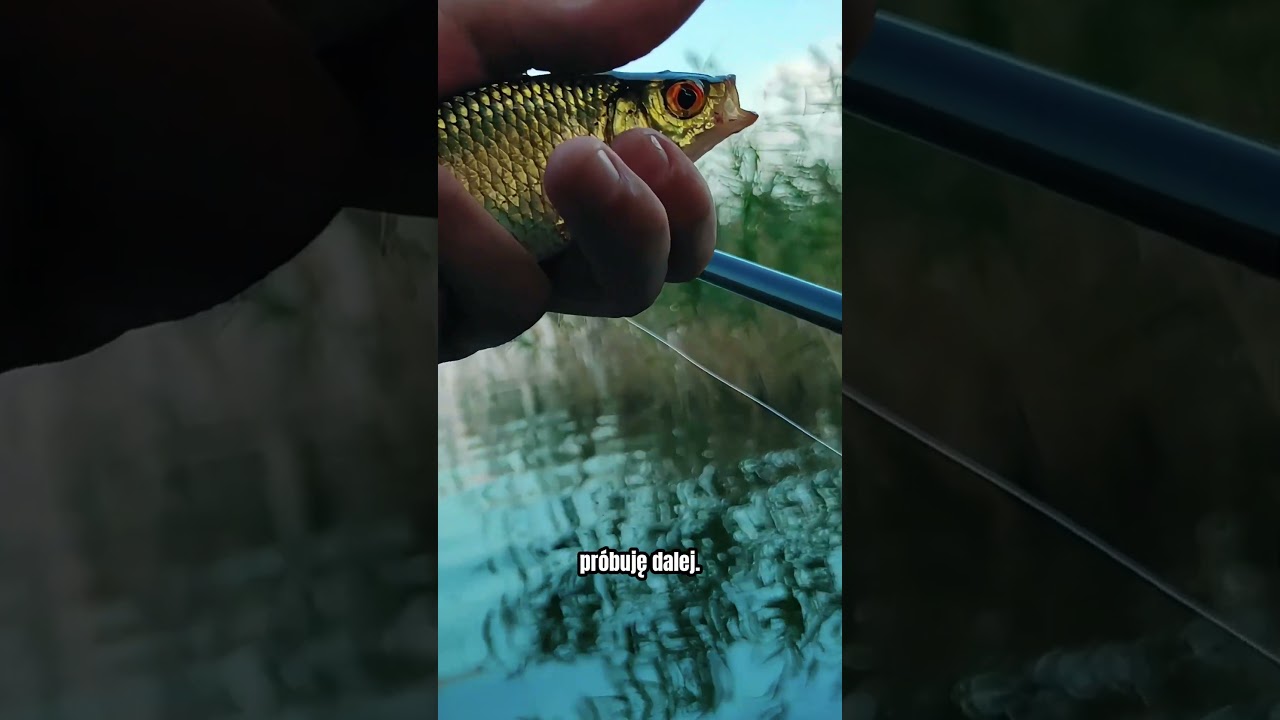 Ostatni wiecz&oacute;r wakacji nad wodą&hellip; i nagle spławik zniknął!