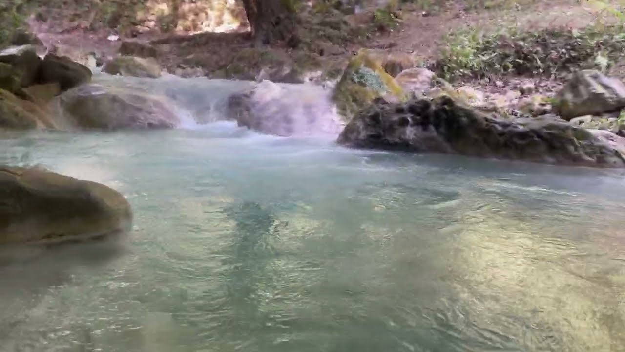 Peaceful River Flow in the Jungle 🌳 | Deep Relaxation & Meditation