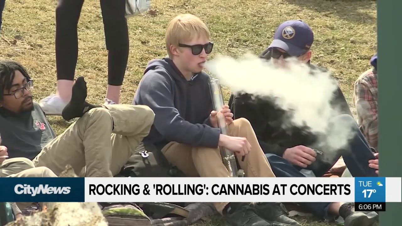 Rocking & &lsquo;Rolling&rsquo;: Cannabis at concerts