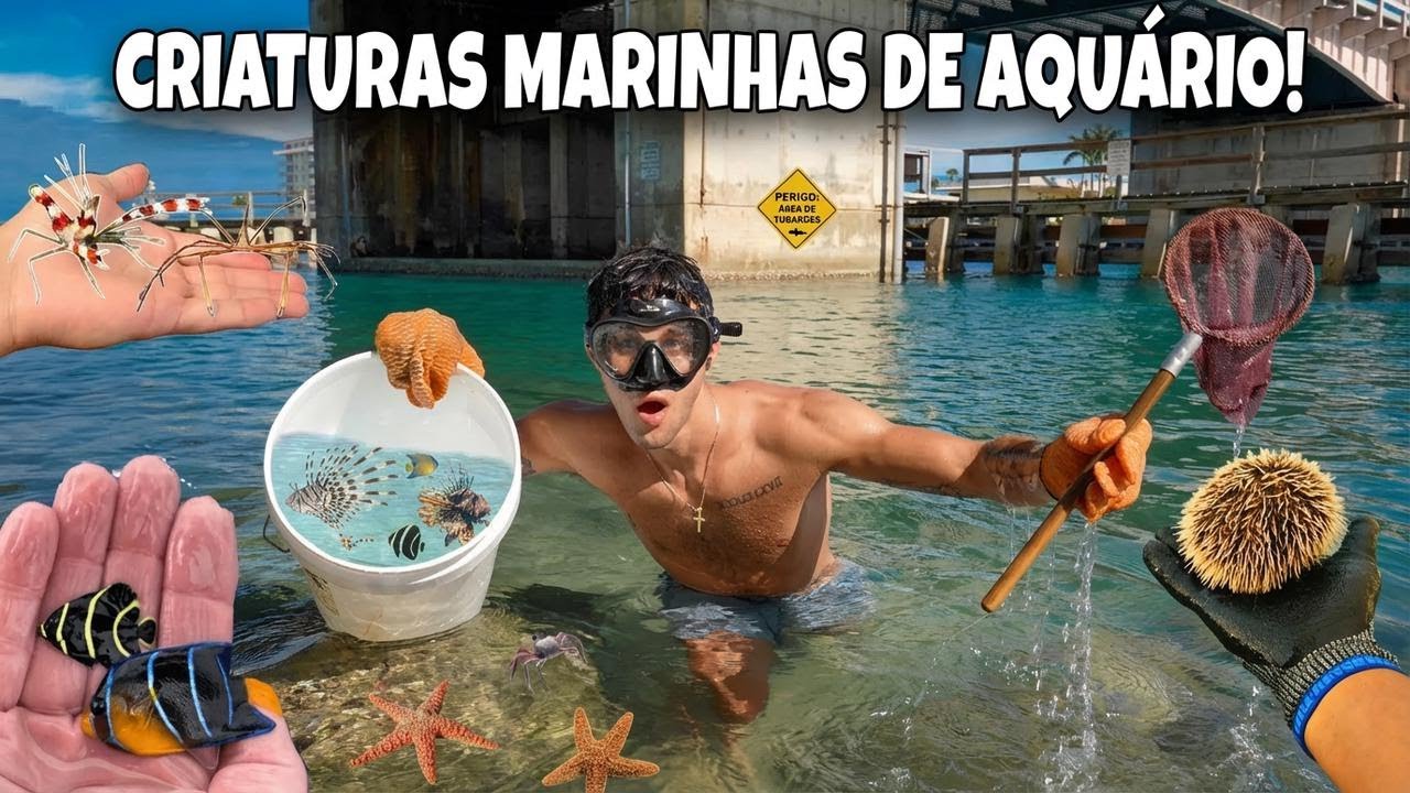 Peguei criaturas exóticas no fundo do mar para o meu aquário!!