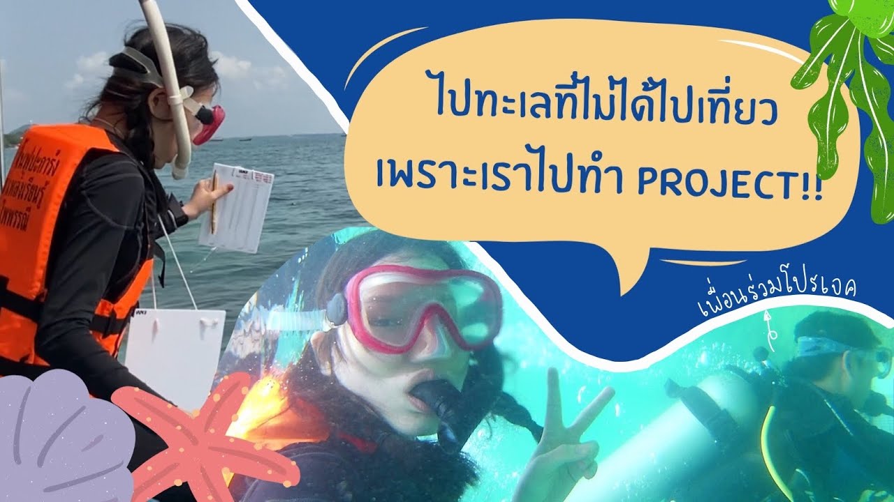#แคทจิอยากเล่า EP2 ตอนไปทำโปรเจคกับเด็กสิ่งแวดล้อม 🐠🌊☀️🏊🏻‍♂️💚