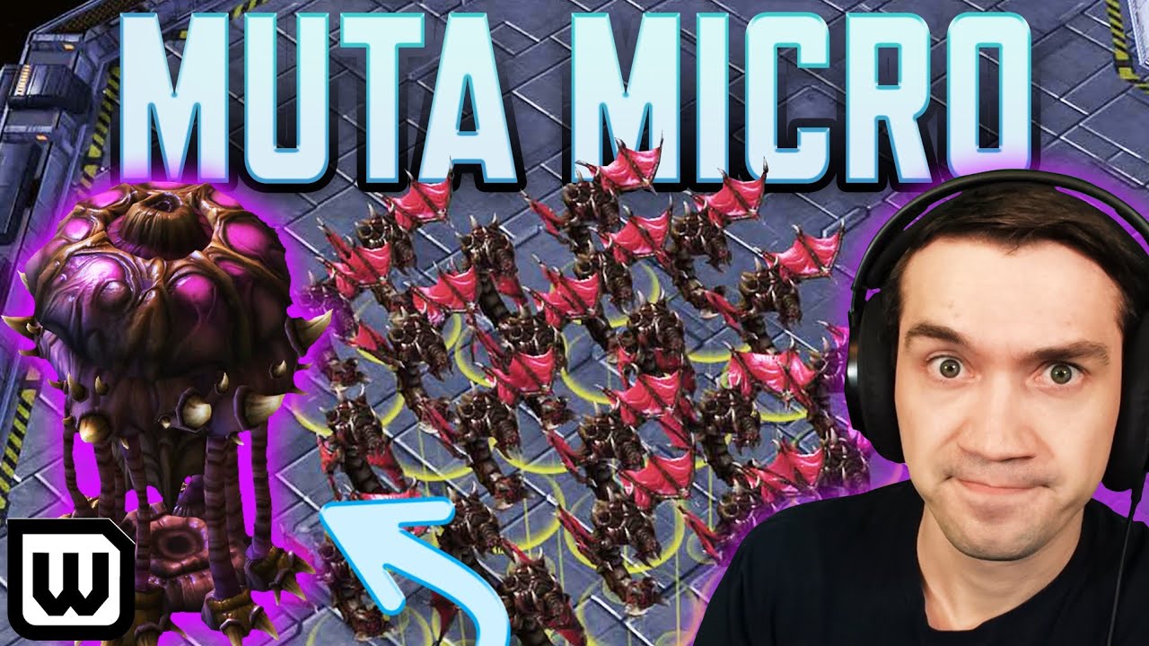 Wild MUTALISK RUSH! Grandmaster Zerg Gameplay - StarCraft 2
