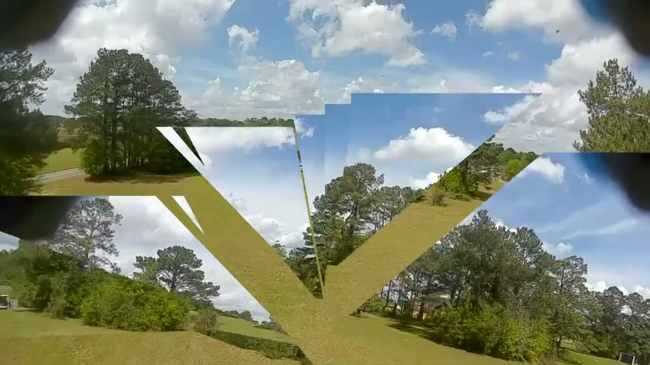 wiregrass fpv