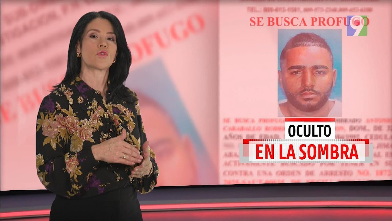 Oculto en las sombras | El Informe con Alicia Ortega