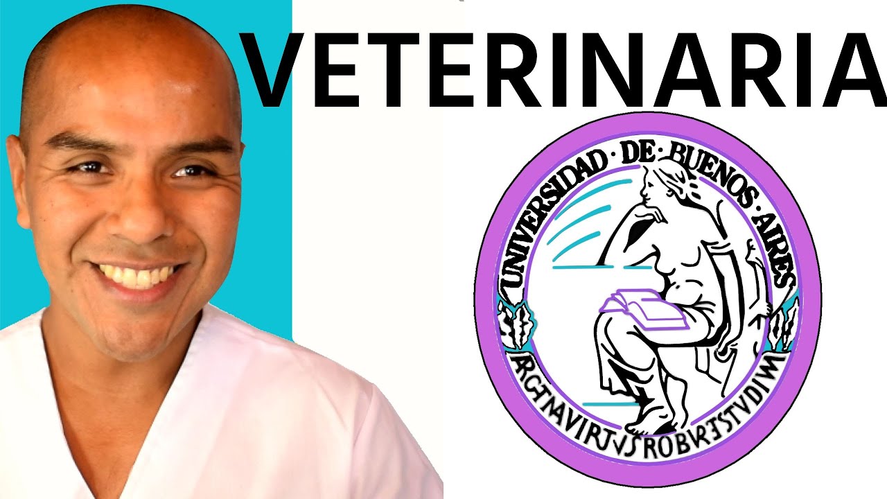 UBA VETERINARY Race | Университет Буэнос-Айреса