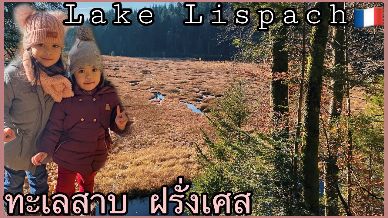 Vosges - FRANCE - Lac de Lispach | Walk around lake | ทะเลสาบฝรั่งเศส พืชคลุมทะเลสาบ สวยงามมาก