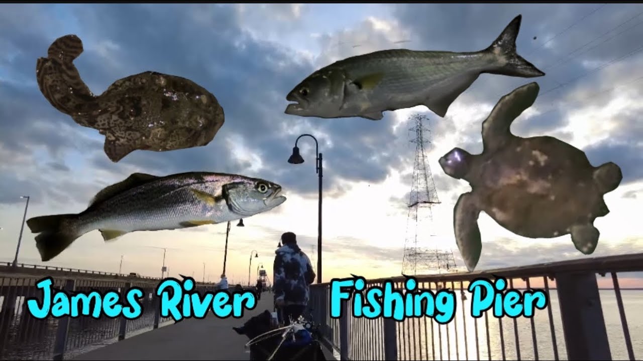 Family Night Fishing | James River Fishing Pier | Newport News, Virginia 
