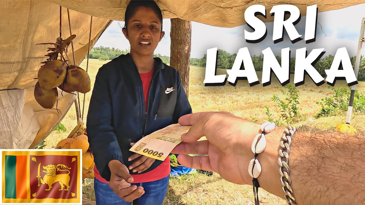 Are Villagers Honest In Sri Lanka? These Are The Actual Prices! 🇱🇰