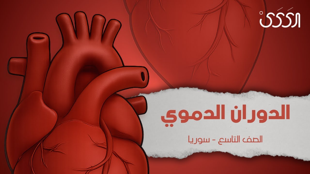 الدوران الدموي - علوم التاسع - دورة 2025