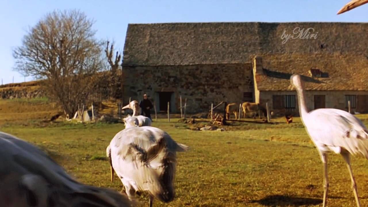 Gheorghe Zamfir - The lonely shepherd