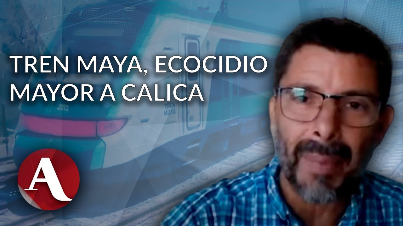 Alicia Bárcena está a tiempo de detener el ecocidio del Tren Maya: José Urbina
