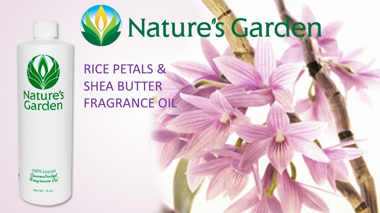 Rice Petals and Shea Butter Fragrance Oil- Natures Garden