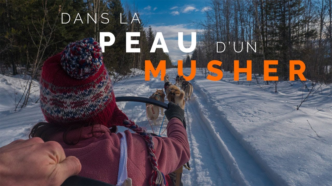 20. 1 MOIS AVEC DES CHIENS DE TRAINEAUX AU CANADA