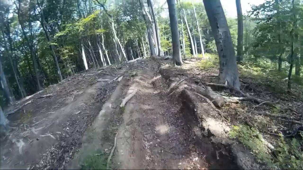 Shared-Trails: Wurzel-Trail