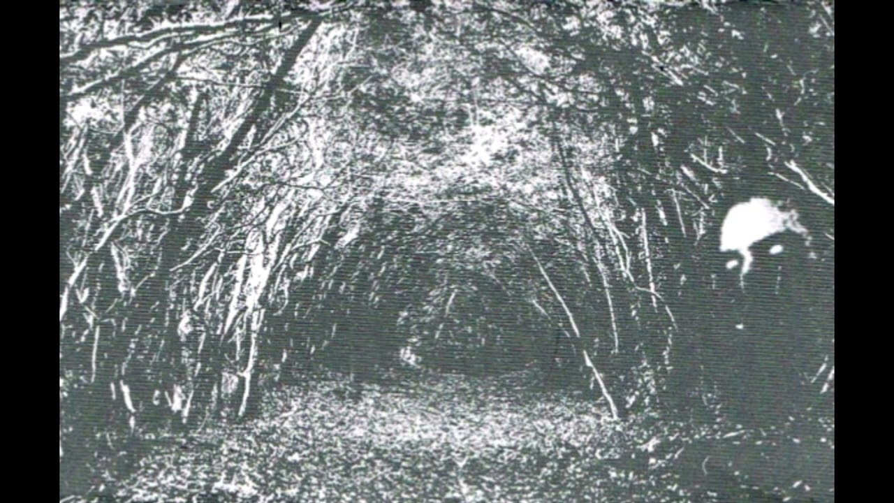 Demstervold ~ Den Svartne Sp&ouml;kerii ~ demo ~ 2017 MFTA ~ Black Metal #blackmetal