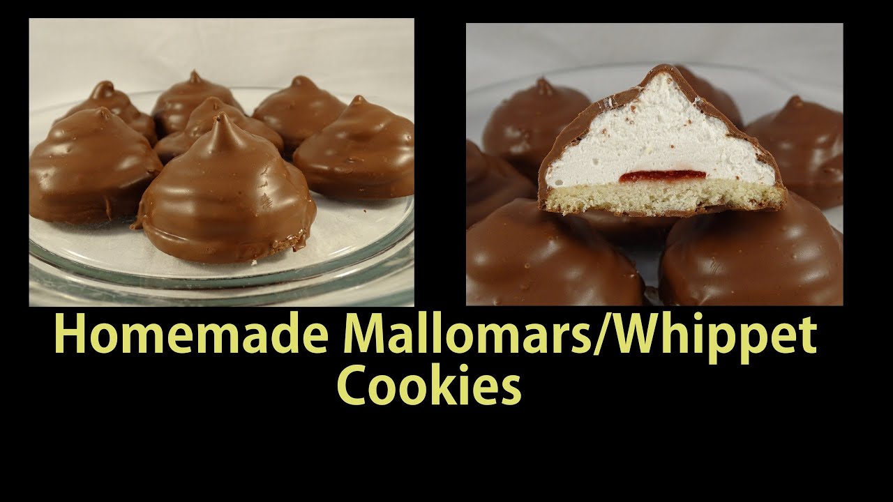 Homemade Mallomars / Whippet Cookies -with yoyomax12
