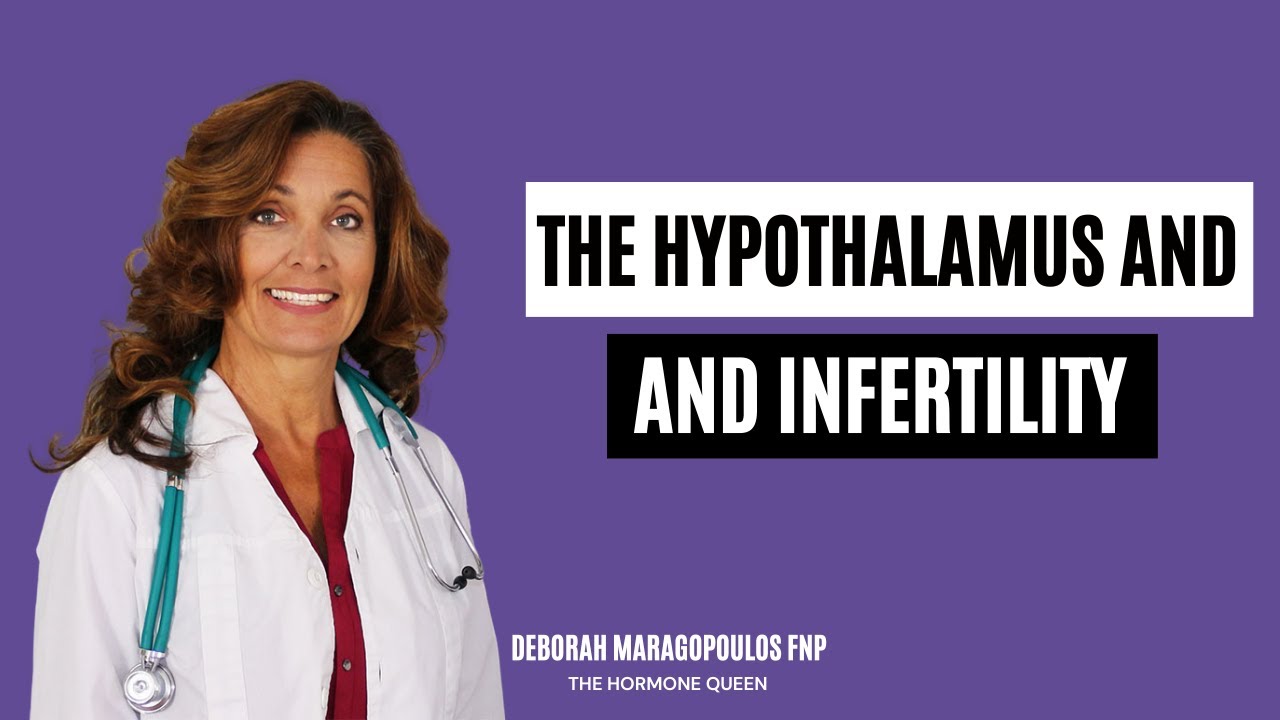 The Hypothalamus and Infertility | How Progesterone Can Help You Conceive