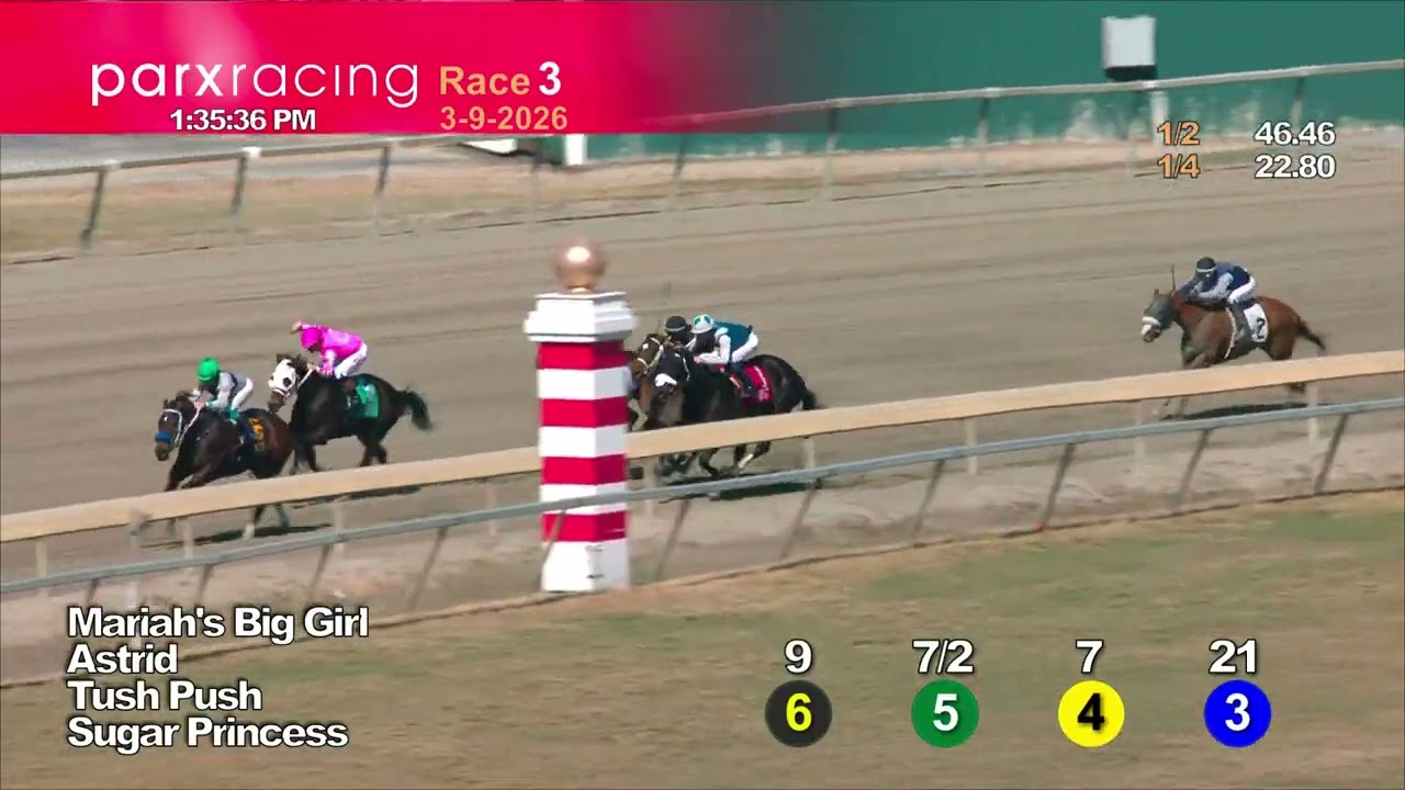 Race #3 03/09/26