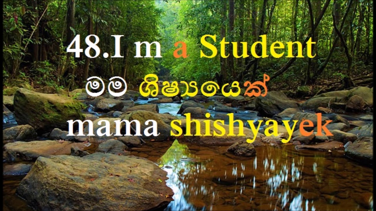 Learn Sinhala - 100 Useful Phrases & Basic Words with Audio (Part 1)