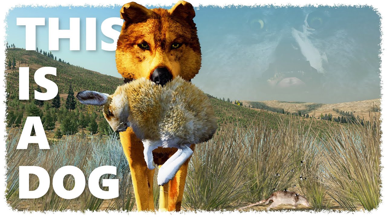 Becoming an alpha d̶o̶g̶ WOLF (ᵒⁿ ᵃ ᵠᵘᵉˢᵗ ᶠᵒʳ ʷᵒˡᶠᵘˢˢʸ) | WOLF QUEST