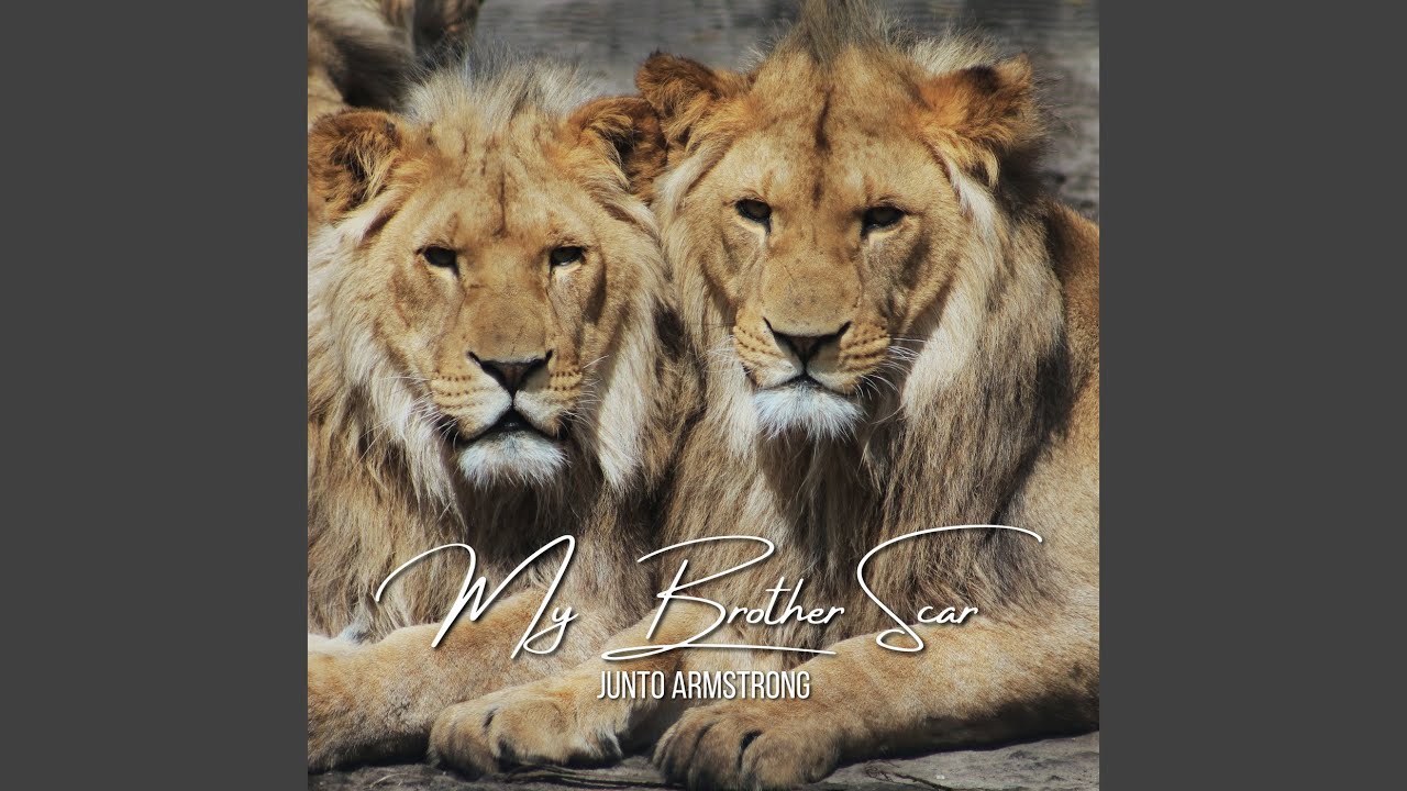 My Brother Scar